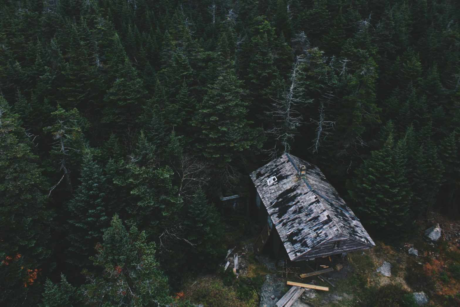 Walden