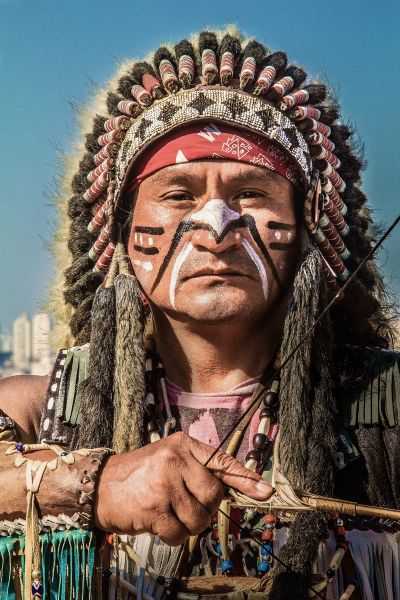 The Last of the Mohicans